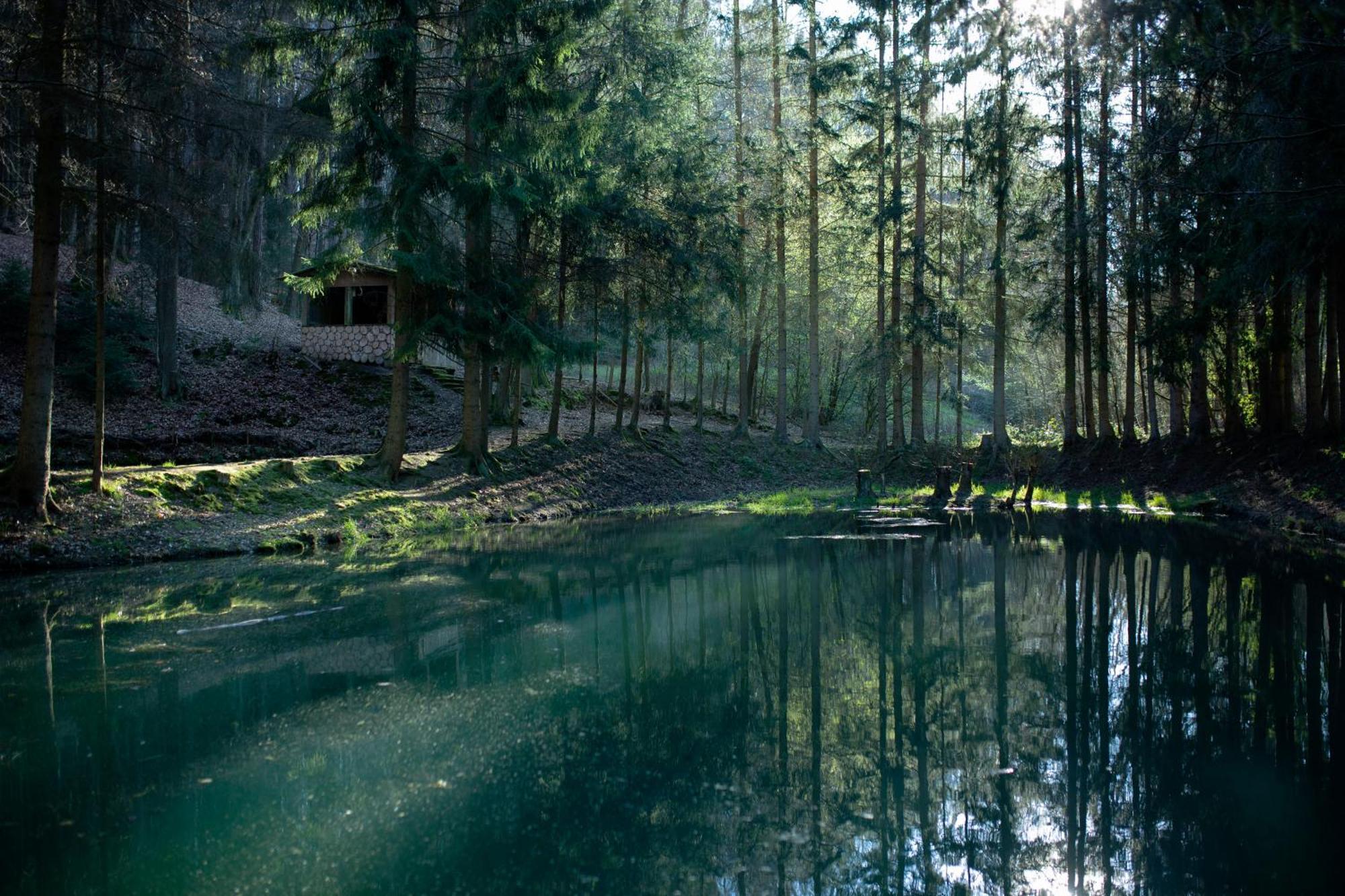 Fh "Baeren Ecke" Am See Im Hessischen Bergland كيرشهيم المظهر الخارجي الصورة